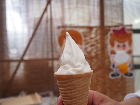 P8160510