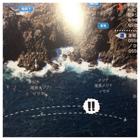 写真 3 (4)