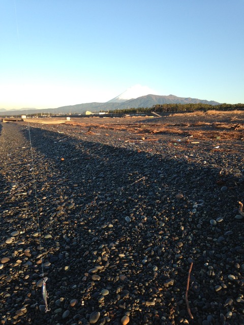 写真 1 (2)
