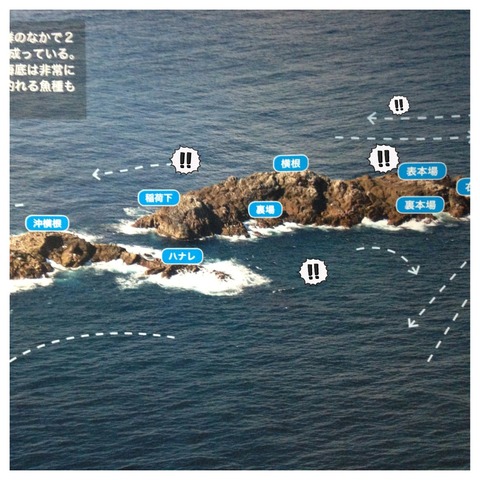 写真 2 (4)