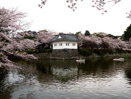 城堀