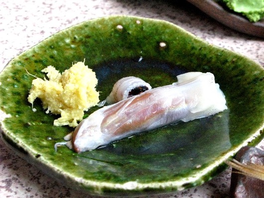 イカわた