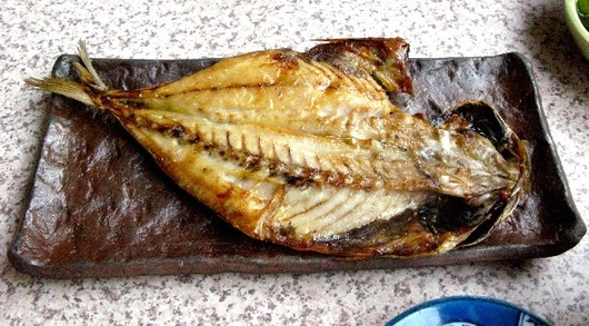 アジひもの
