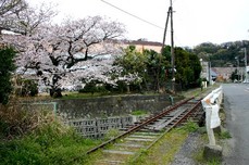 ¶¶