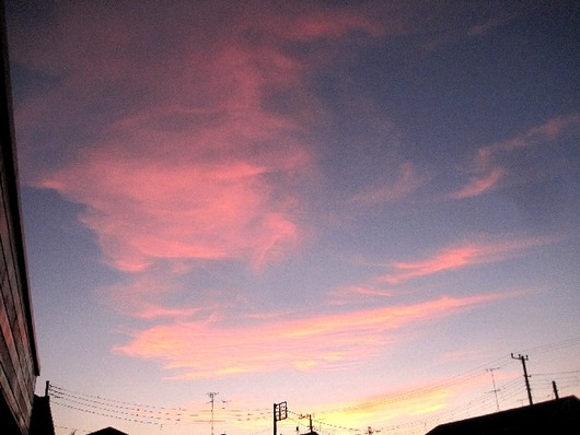 夕日