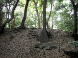 d530842b.jpg