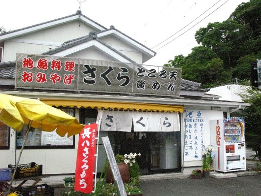 さくら