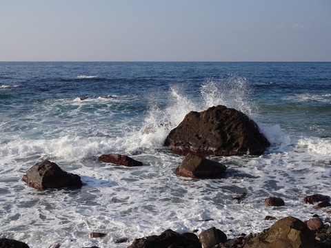 DSC00336