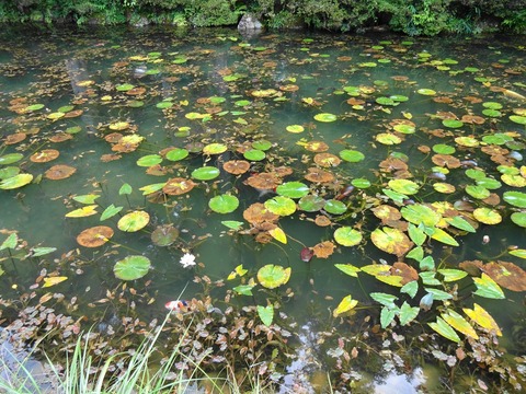 DSC01180