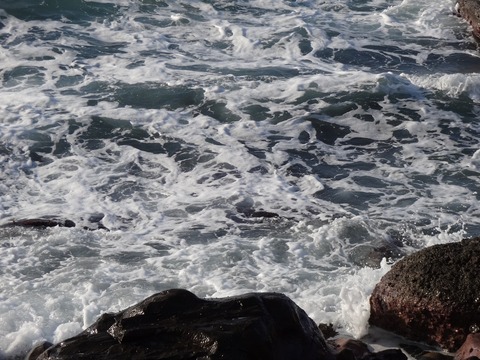 DSC00337