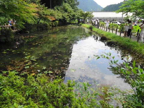DSC01177