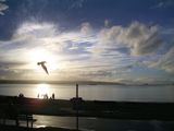 ENGLISH BAY 2