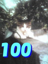 a02c0ca2.jpg