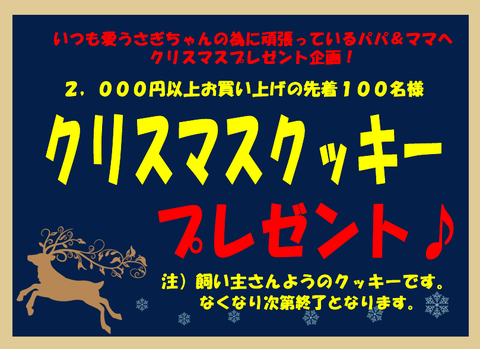 クリスマスクッキー