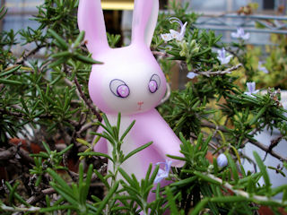 00rabifur_purple2