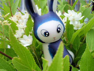 00rabi_rabifur_midnightblue2