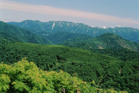 白神山地2