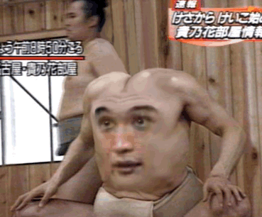 8_1