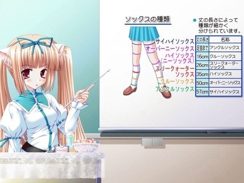 説明画像