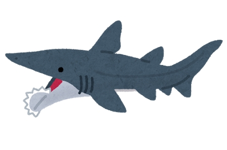 kodai_same_helicoprion