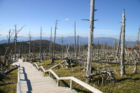 10photo22