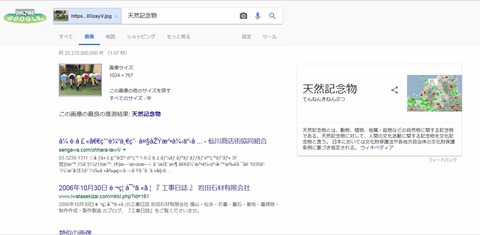 【朗報】JKの太もも、Googleによって天然記念物と認定される （※画像あり）
