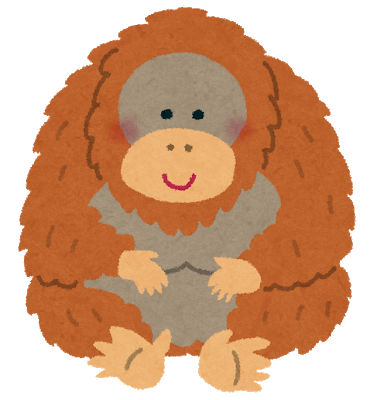 animal_Orangutan