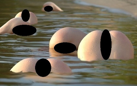 5_1
