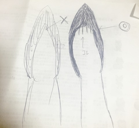 女の子の足のここが好きな奴ｗｗｗｗｗｗｗｗｗｗｗｗｗ（※画像あり）