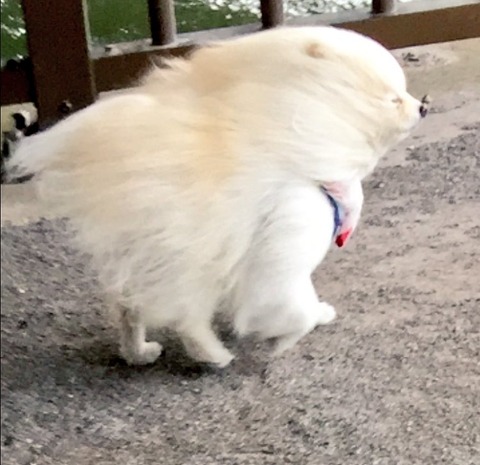 1_3