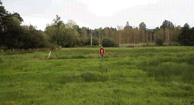 116_2
