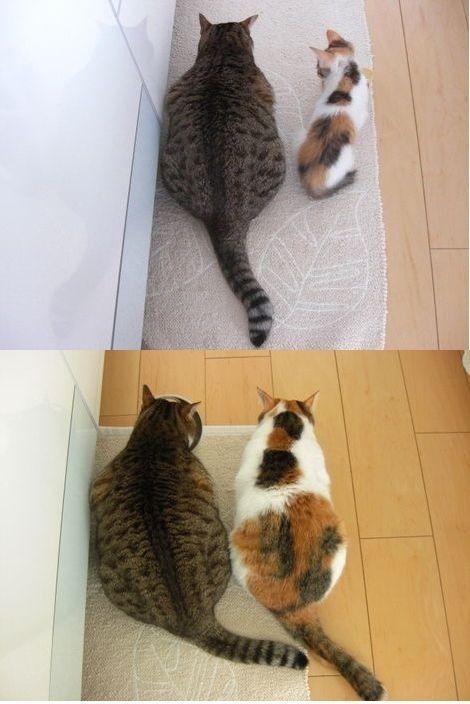 おいしそうな脚の女子高生･旋風編1脚目 [転載禁止]©bbspink.com	->画像>1633枚 