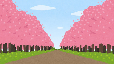 bg_namikimichi1_sakura