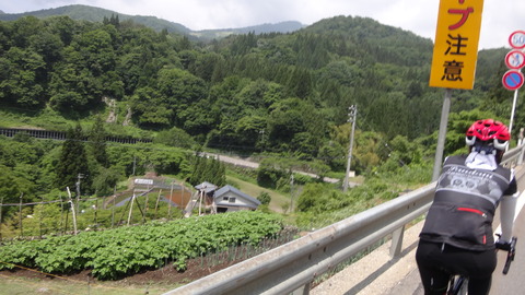 DSC03008