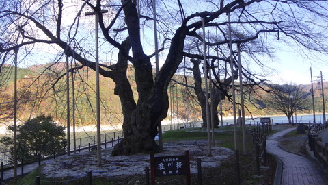 DSC03734