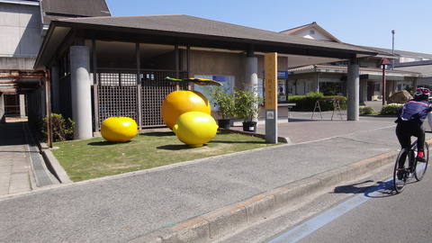 DSC00765