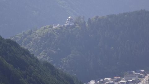 DSC03115