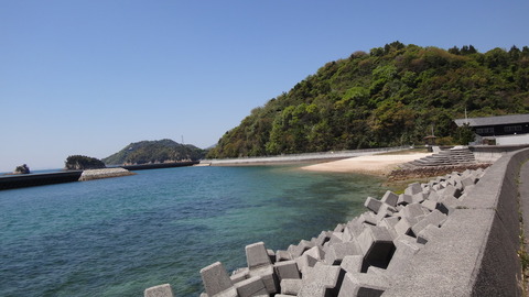 DSC00710
