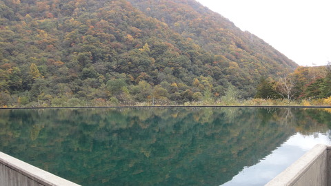DSC03710