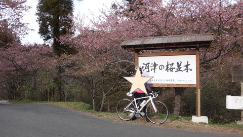 DSC00569