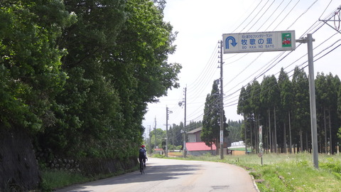 DSC03020