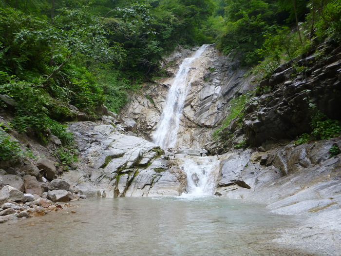 P1000334