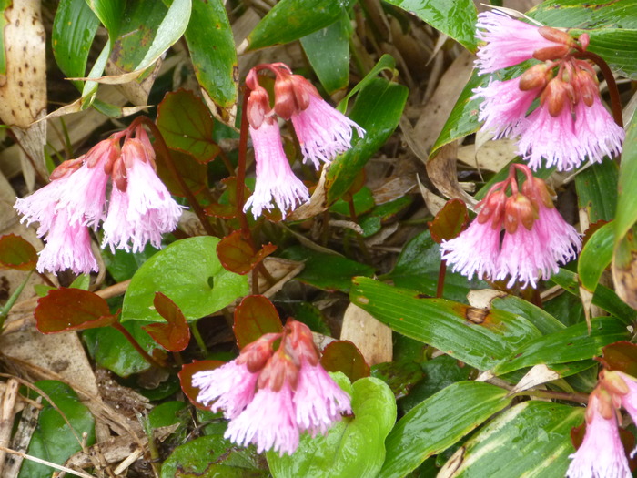 P1050616