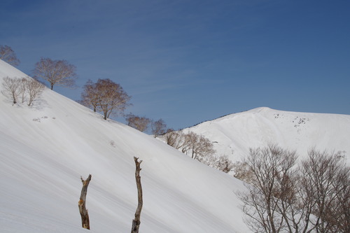 IMGP0342