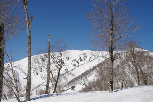 IMGP0333