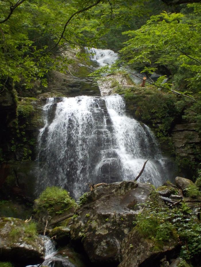 DSCN0282