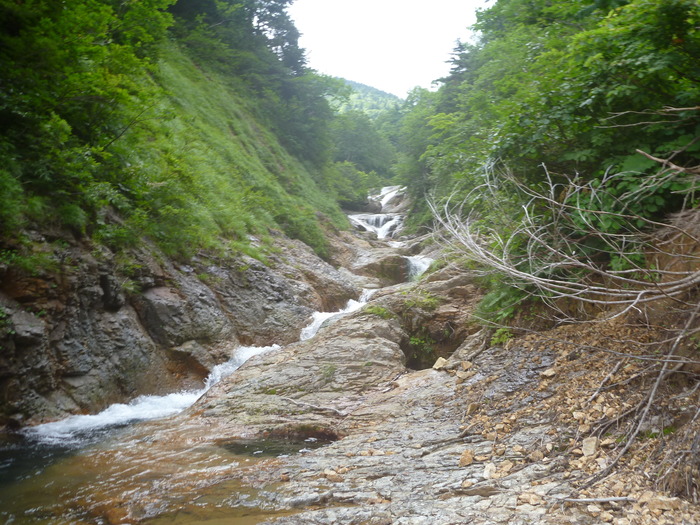 P1020426