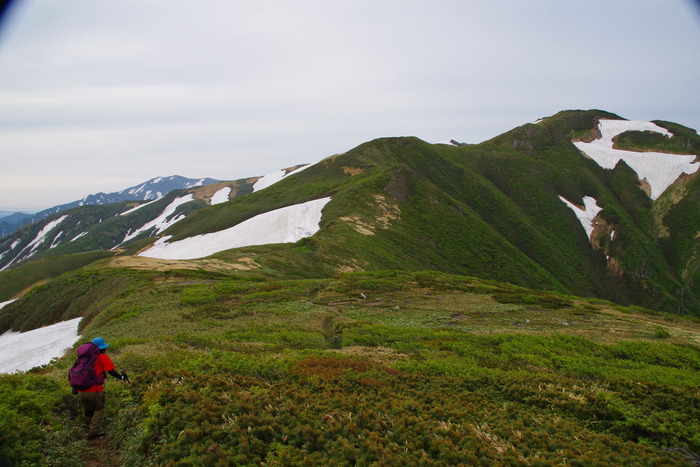IMGP0598