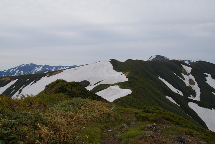 IMGP0615