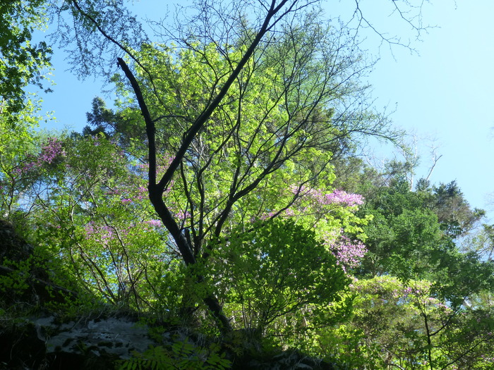 P1050441